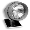 Remote Tungsten Head - Double - 6 Volt - Harsh Location C1D2